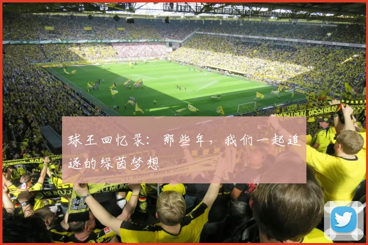 球王回忆录:那些年,我们一起追逐的绿茵梦想